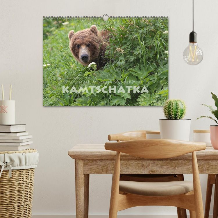 Produktbild: Aug in Aug mit den Braunb&auml;ren in Kamtschatka (Wandkalender 2026 DIN A3 quer), CALVENDO Monatskalender