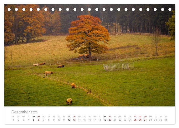 Produktbild: Wundersch&ouml;ne B&auml;ume im Sauerland (Tischkalender 2026 DIN A5 quer), CALVENDO Monatskalender