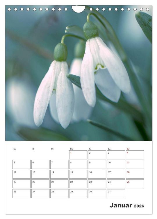 Produktbild: Farbiger Bl&uuml;tentraum (Wandkalender 2026 DIN A4 hoch), CALVENDO Monatskalender