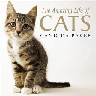 Produktbild: Amazing Life of Cats