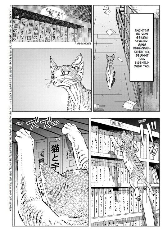 Produktbild: Night of the Living Cat 04 - Die Katze aus einer anderen Welt - D-Rex