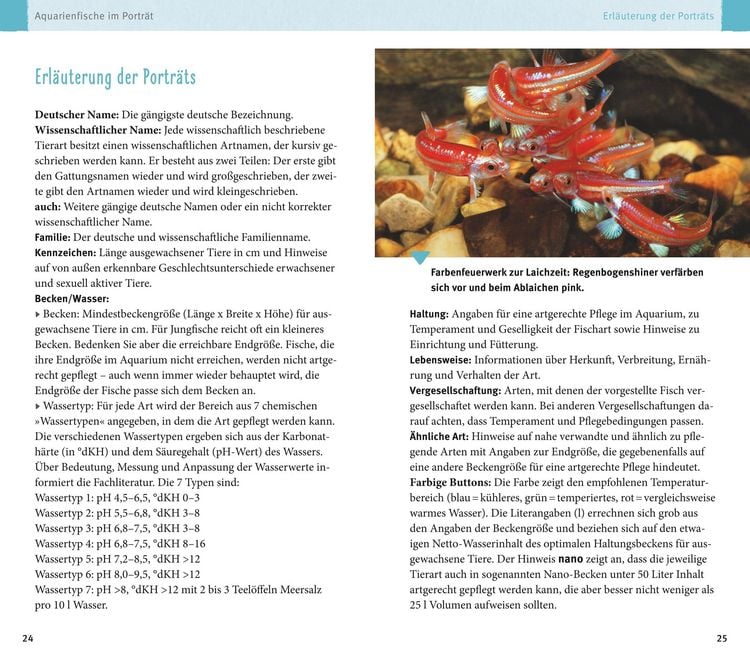 Aquarienfische von A bis Z