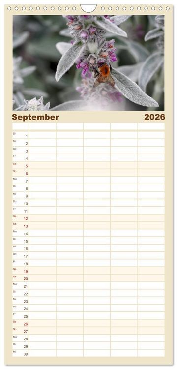 Produktbild: Familienplaner 2026 - Hummelflug mit 5 Spalten (Wandkalender, 21 x 45 cm) CALVENDO