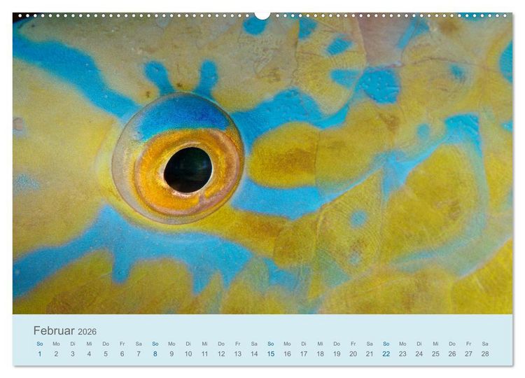 Produktbild: Abenteuer Unterwasser (Wandkalender 2026 DIN A2 quer), CALVENDO Monatskalender