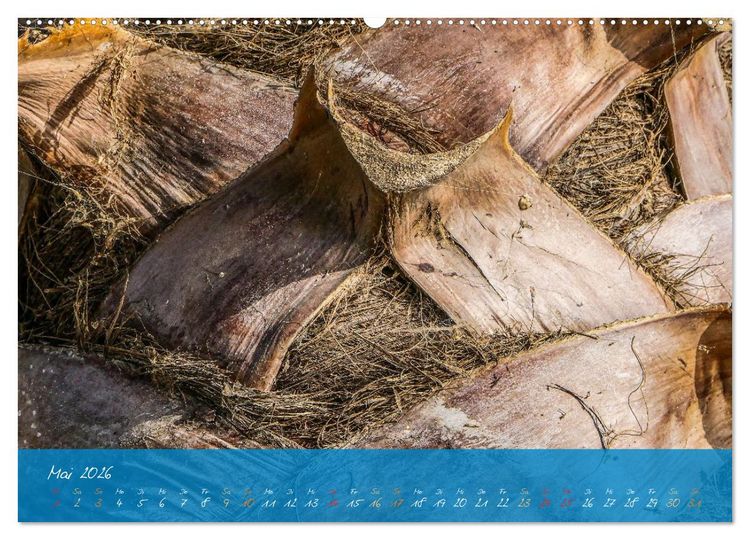 Produktbild: Natur abstrakt Farben und Strukturen (Wandkalender 2026 DIN A2 quer), CALVENDO Monatskalender