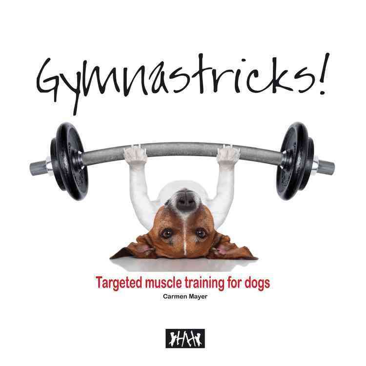 Produktbild: Mayer, C: Gymnastricks