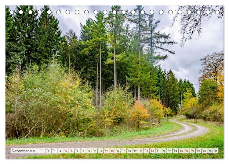 Produktbild: Nationalpark Eifel - Sch&ouml;ne Tage im Gr&uuml;nen (Tischkalender 2026 DIN A5 quer), CALVENDO Monatskalender