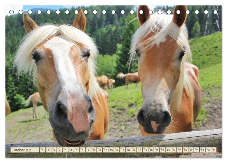 Produktbild: Tiroler Langm&auml;hnen (Tischkalender 2026 DIN A5 quer), CALVENDO Monatskalender