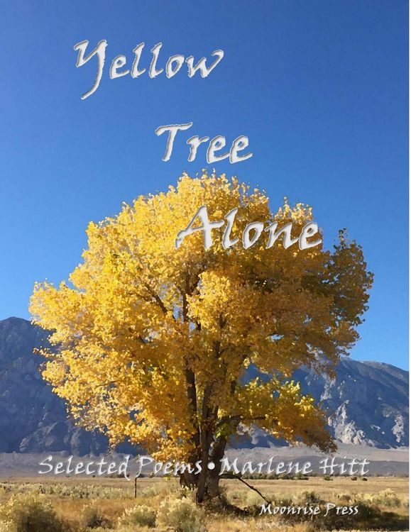 Produktbild: Yellow Tree Alone