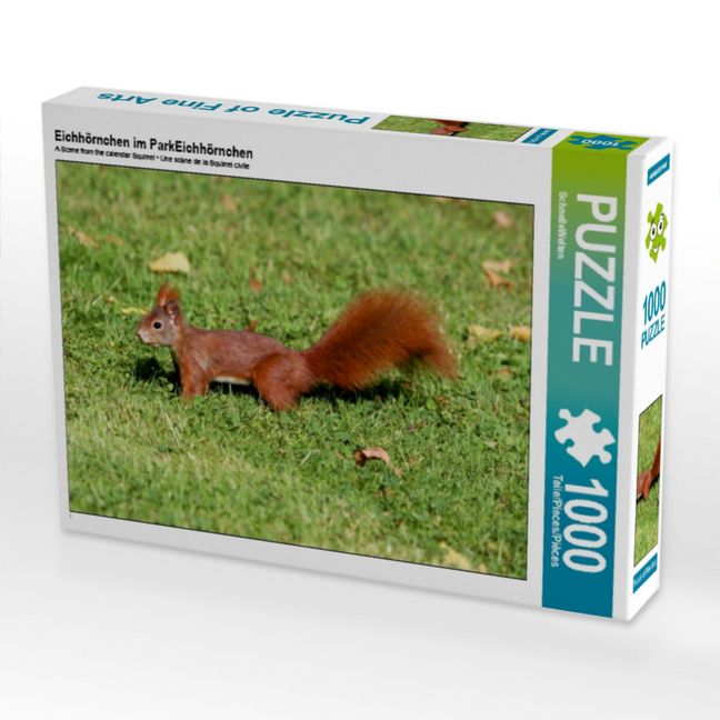 Produktbild: CALVENDO Puzzle Eichh&ouml;rnchen im ParkEichh&ouml;rnchen | 1000 Teile Lege-Gr&ouml;&szlig;e 64x48cm Foto-Puzzle f&uuml;r gl&uuml;ckliche Stunden
