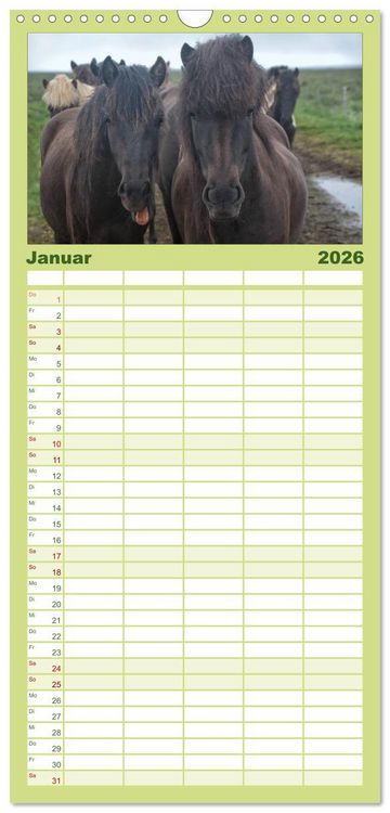 Produktbild: Familienplaner 2026 - Charakterk&ouml;pfe Islandpferde mit 5 Spalten (Wandkalender, 21 x 45 cm) CALVENDO