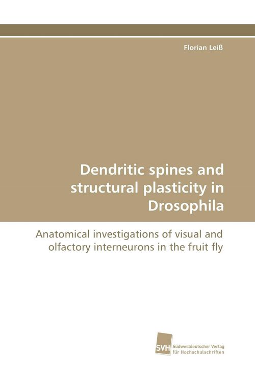 Produktbild: Dendritic spines and structural plasticity in Drosophila