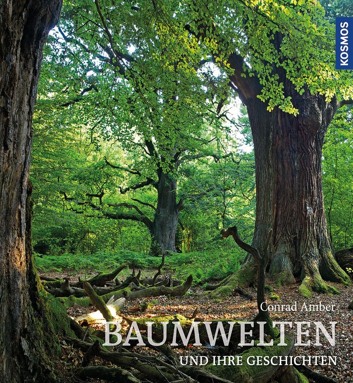 Produktbild: Baumwelten
