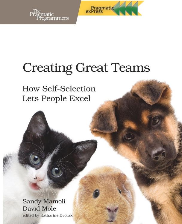 Produktbild: Creating Great Teams