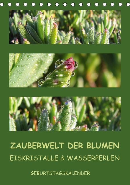 Produktbild: Zauberwelt der Blumen - Eiskristalle & Wasserperlen / Geburtstagskalender (Tischkalender immerw&auml;hrend DIN A5 hoch)