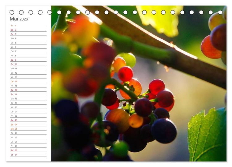 Produktbild: Wein (Tischkalender 2026 DIN A5 quer), CALVENDO Monatskalender