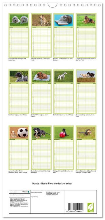 Produktbild: Familienplaner 2026 - Hunde - Beste Freunde der Menschen mit 5 Spalten (Wandkalender, 21 x 45 cm) CALVENDO