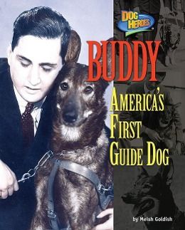 Produktbild: Buddy