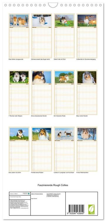 Produktbild: Familienplaner 2027 - Faszinierende Rough Collies mit 5 Spalten (Wandkalender, 21 x 45 cm) CALVENDO