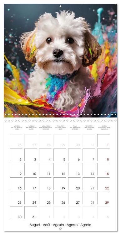 Produktbild: Colourful Splash Dogs (Wall Calendar 2027 12 &times; 12 Inch) CALVENDO 12 Month Wall Calendar