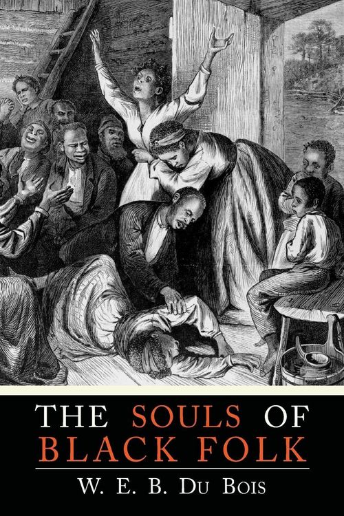 Produktbild: The Souls of Black Folk