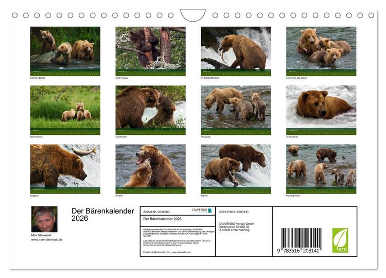 Produktbild: Der B&auml;renkalender 2026 (Wandkalender 2026 DIN A4 quer), CALVENDO Monatskalender