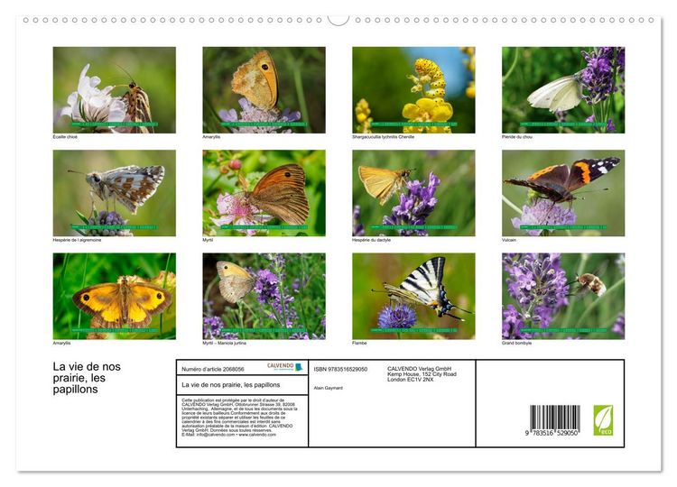 Produktbild: La vie de nos prairie, les papillons (Calendrier mural 2026 DIN A2 vertical) calendrier de bureau