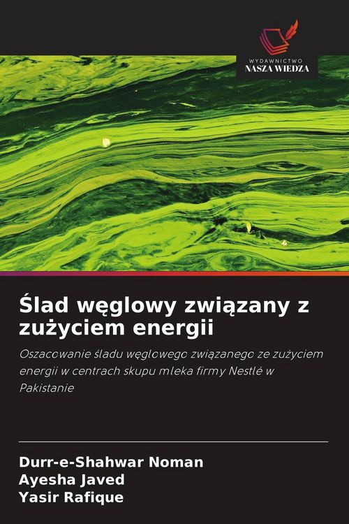 Produktbild: &iquest;lad w&iquest;glowy zwi&iquest;zany z zu&iquest;yciem energii