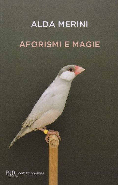 Produktbild: Aforismi e magie