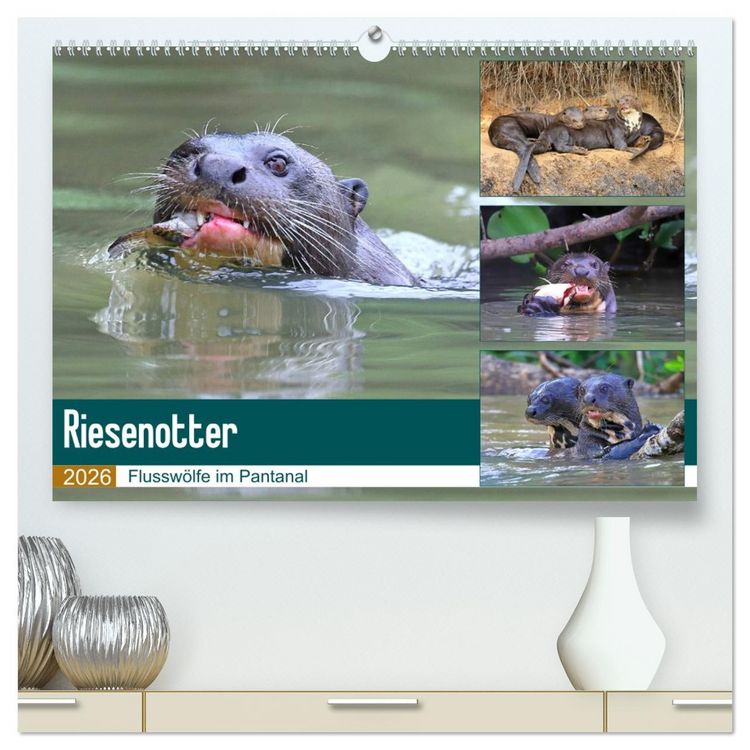 Produktbild: Riesenotter - Flussw&ouml;lfe im Pantanal (hochwertiger Premium Wandkalender 2026 DIN A2 quer), Kunstdruck in Hochglanz