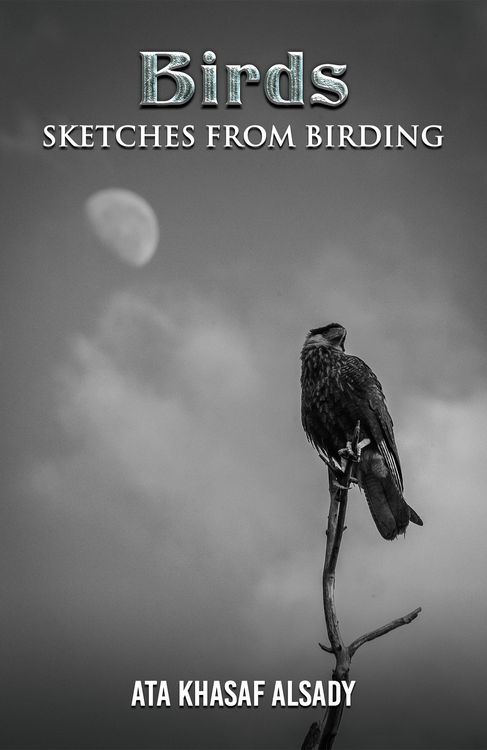 Produktbild: Birds