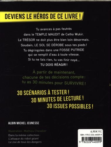 Produktbild: Le temple maudit de Cetho Wukir