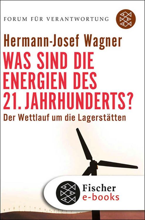 Produktbild: Was sind die Energien des 21. Jahrhunderts?