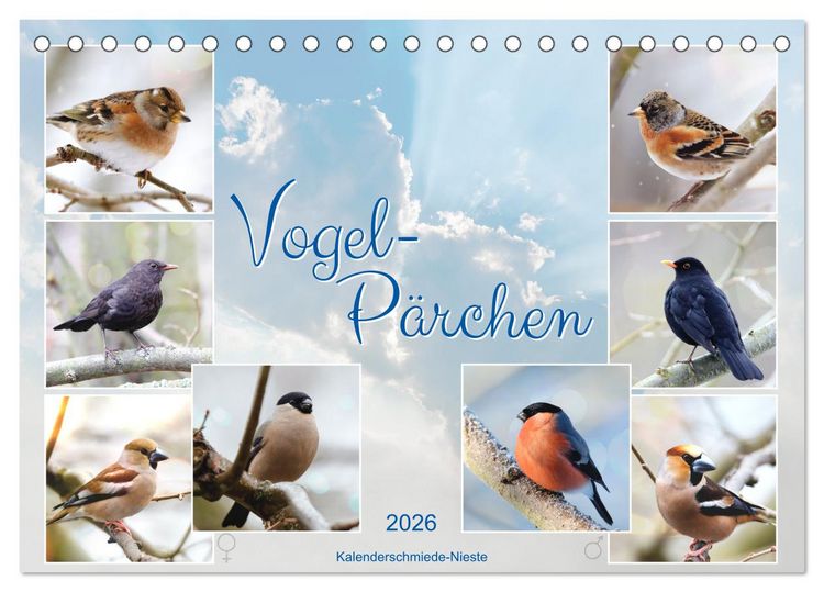 Produktbild: Vogel-P&auml;rchen (Tischkalender 2026 DIN A5 quer), CALVENDO Monatskalender