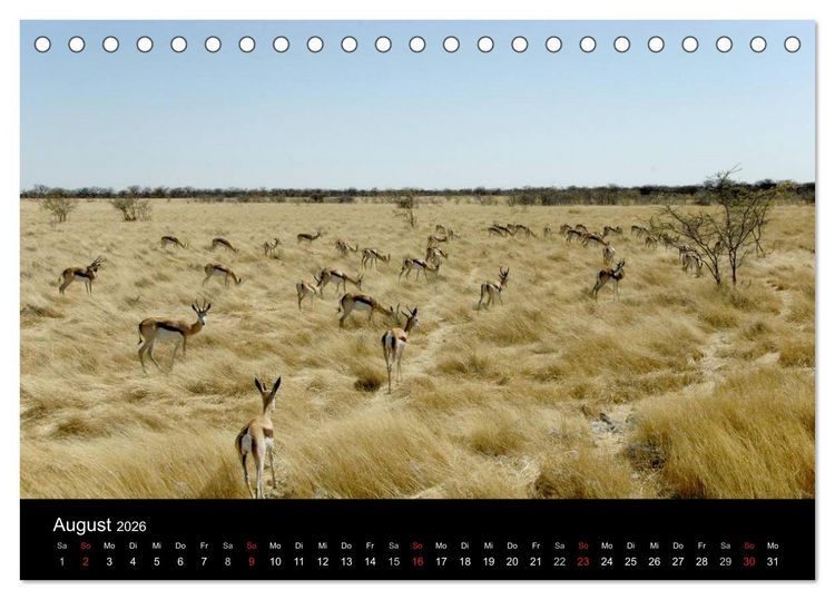 Produktbild: Afrika (Tischkalender 2026 DIN A5 quer), CALVENDO Monatskalender