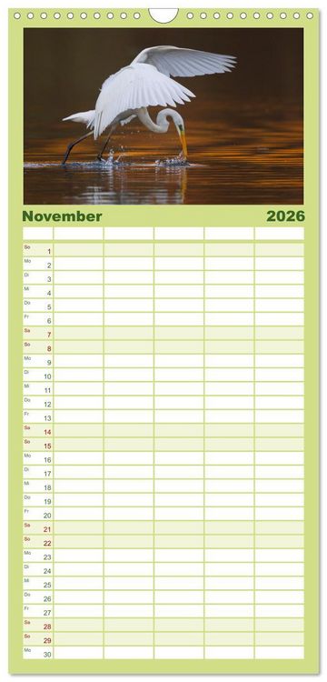 Produktbild: Familienplaner 2026 - Magie Heimische Natur mit 5 Spalten (Wandkalender, 21 x 45 cm) CALVENDO