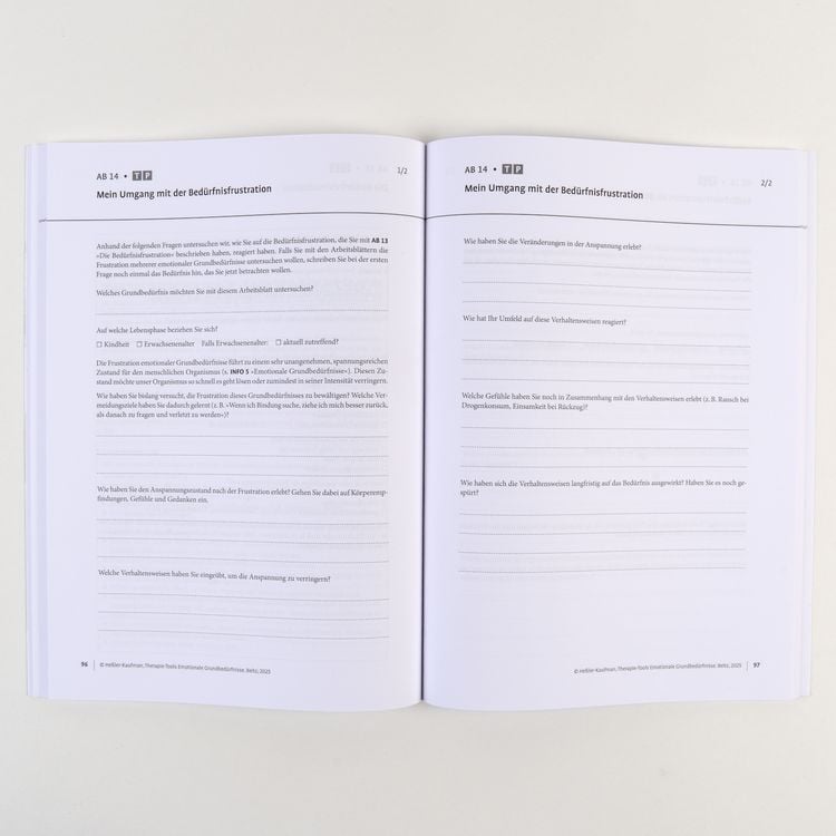 Produktbild: Therapie-Tools Emotionale Grundbed&uuml;rfnisse
