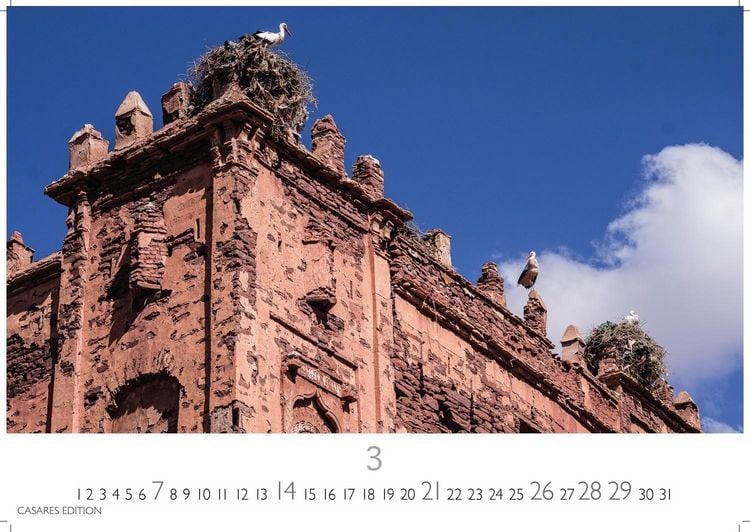 Produktbild: St&ouml;rche Kalender 2027 &ndash; Wandkalender | Fotokalender Tierkalender 35x50cm Grosses Format - Inspirierende Storch-Motive f&uuml;r Natur- und Tierkalenderliebhaber.