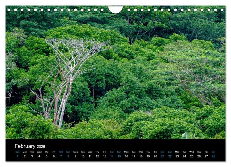 Produktbild: Beautiful Mauritius (Wall Calendar 2026 DIN A4 landscape), CALVENDO 12 Month Wall Calendar