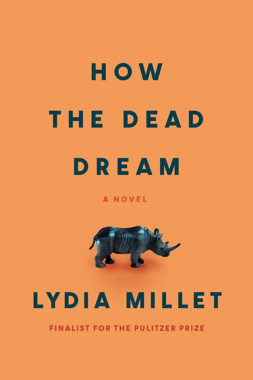Produktbild: How the Dead Dream