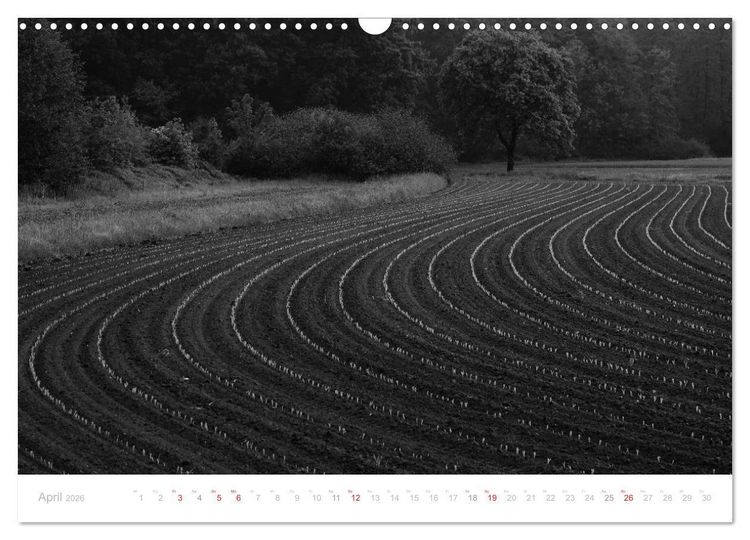 Produktbild: Mystischer Schwarzwald (Wandkalender 2026 DIN A3 quer), CALVENDO Monatskalender