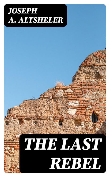 Produktbild: The Last Rebel