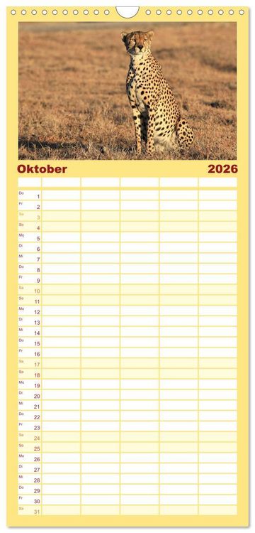 Produktbild: Familienplaner 2026 - Geparden - Begegnungen in Afrika mit 5 Spalten (Wandkalender, 21 x 45 cm) CALVENDO