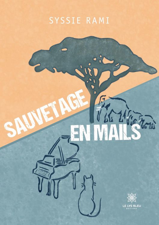 Produktbild: Rami, S: Sauvetage en mails