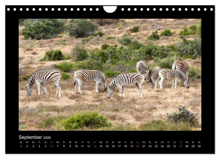 Produktbild: S&uuml;dafrika - Garden Route (Wandkalender 2026 DIN A4 quer), CALVENDO Monatskalender