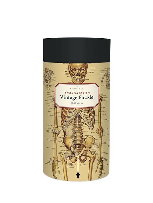 Produktbild: Anatomie Puzzle 1000 Teile