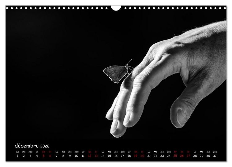 Produktbild: La nature pr&egrave;s de chez vous (Calendrier mural 2026 DIN A3 vertical), CALVENDO calendrier mensuel