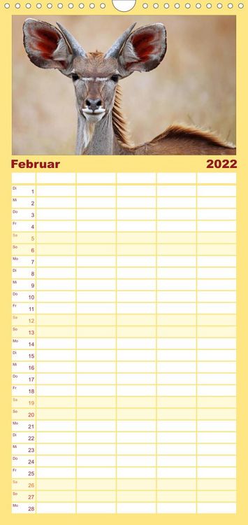 Produktbild: Familienplaner KR&Uuml;GER NATIONALPARK Afrikas Perle (Wandkalender 2022 , 21 cm x 45 cm, hoch)