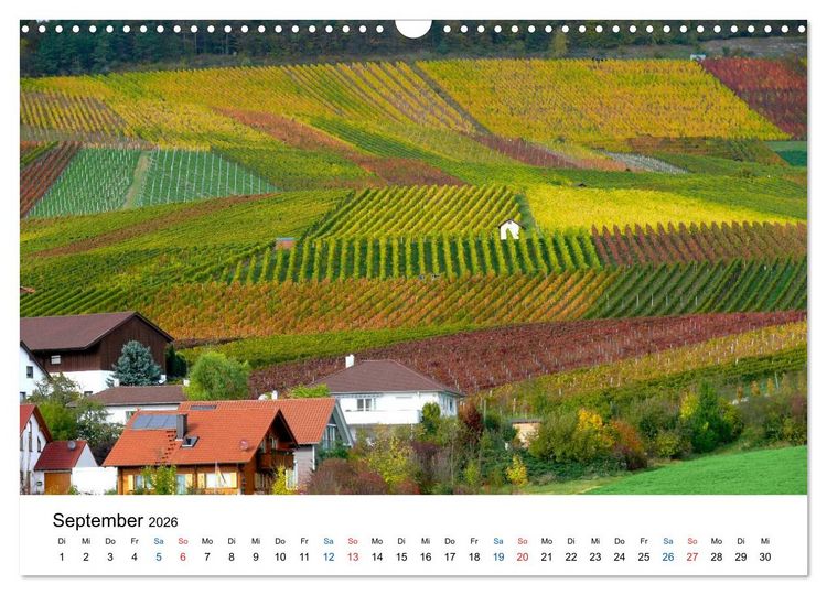 Produktbild: W&uuml;rttemberger Wein 2026 (Wandkalender 2026 DIN A3 quer), CALVENDO Monatskalender