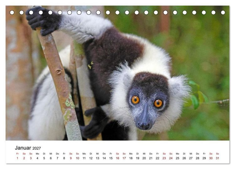 Produktbild: Blickpunkte auf Madagaskar (Tischkalender 2027 DIN A5 quer), CALVENDO Monatskalender